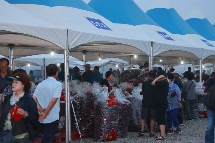 [진안=뉴시스] 마이산 고추시장 모습. (사진=뉴시스 DB). photo@newsis.com *재판매 및 DB 금지