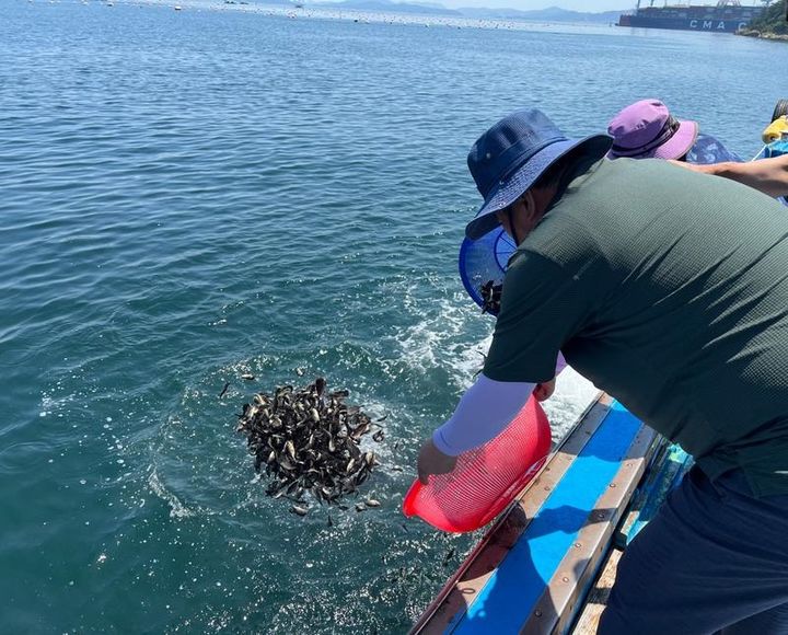 [창원=뉴시스]경상남도 수산자원연구소 수산종자 방류.(사진=경남도 제공) *재판매 및 DB 금지