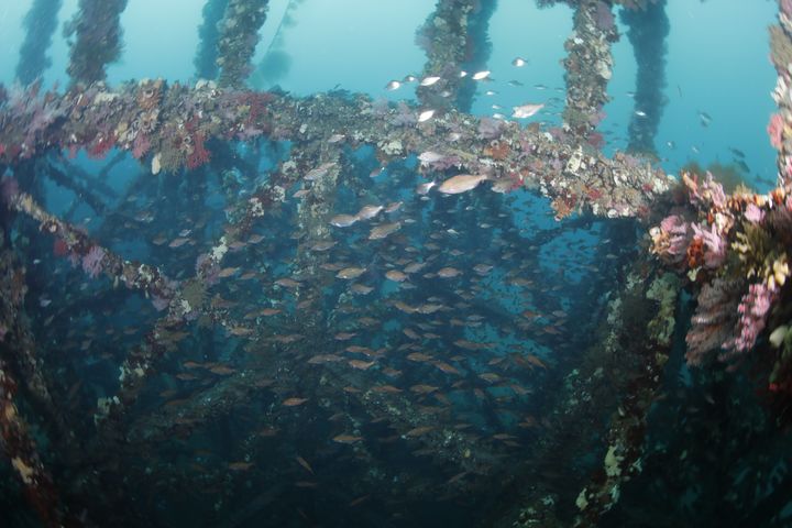 [창원=뉴시스]경남 남해안 인공어초시설.(사진=경남도 제공) *재판매 및 DB 금지