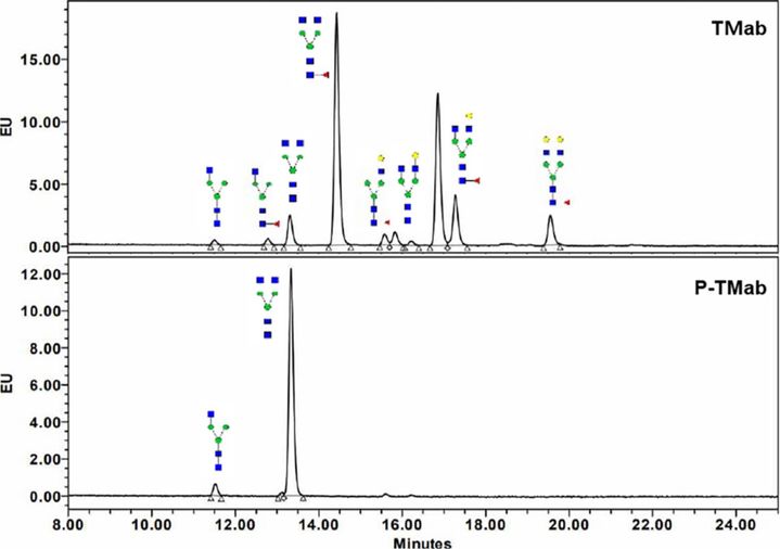 [서울=뉴시스] PhytoRice에서 생산된P-TMab의 당질구조분석 (사진=서강대 제공) *재판매 및 DB 금지
