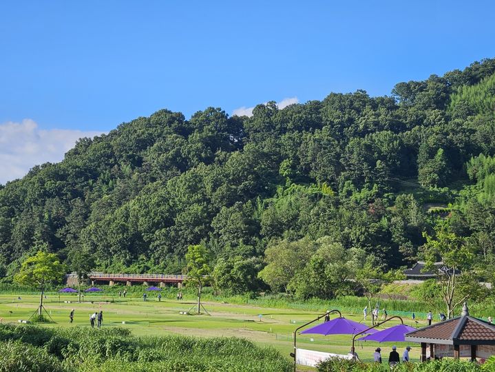 [광주=뉴시스] 화순군은 1일 재난비상 2단계 발효시 능주파크골프장 운영을 일시 정지한다고 밝혔다. (사진=화순군 제공). 2024.08.01. photo@newsis.com *재판매 및 DB 금지