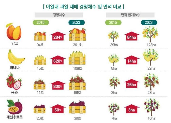 아열대 과일 재배 경영체 수 및 재배 면적. (자료 = 농촌경제연구원 보고서 캡쳐) 2024.08.01.  *재판매 및 DB 금지