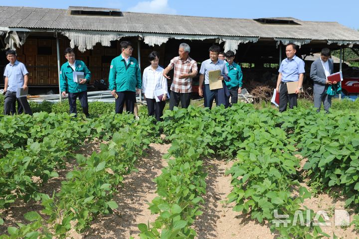 [당진=뉴시스] 김덕진 기자=지난 1일 권재한 농촌진흥청장(왼쪽 3번째)이 당진시 순성면의 한 과수화상병 발생 농가를 찾아 농민의 목소리에 귀를 기울이고 있다. 이날 권 청장은 "장맛비와 무더위로 고온다습한 날씨가 지속되면서 과수화상병균(이하 화상병균)의 전파와 감염에 취약한 상황"이라며 "예찰을 통한 조기 발견과 확산 차단을 위한 빠른 방제가 필요하다"고 말했다. 당진에서는 지난 5월14일 신평면에 있는 한 사과 과수원에서 과수화생병 첫 확진 사례가 나온 이래 지난달 31일 기준 과수농가 11곳 4.85㏊에서 과수화상병이 발생한 것으로 파악됐다. 