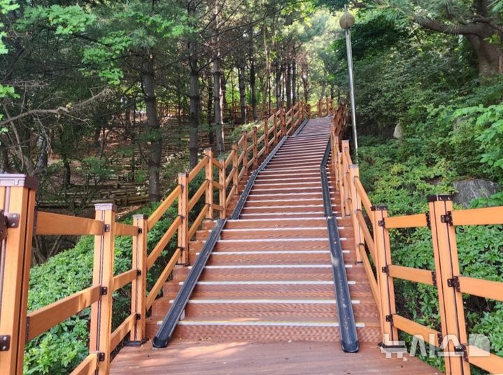 [용인=뉴시스] 환경을 개선한 수지구 죽전동 대지산 등산로. (사진=용인시 제공) 2024.08.02. photo@newsis.com  