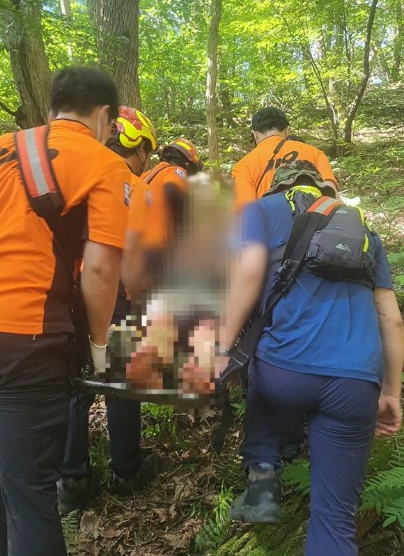 [부산=뉴시스] 부산경찰은 산악 수색 끝에 치매를 앓고 있는 어르신을 무사히 구조했다. (사진=부산경찰청 제공) 2024.08.02. photo@newsis.com *재판매 및 DB 금지