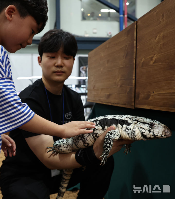 [서울=뉴시스] 김금보 기자 = 4일 서울 강남구 SETEC에서 열린 한국 파충류쇼를 찾은 어린이가 도마뱀을 살펴보고 있다. 2024.08.04. kgb@newsis.com