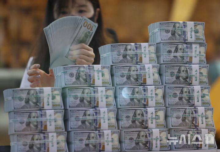 [서울=뉴시스] 김명년 기자 = 지난달 외환보유액이 13억 달러 증가하며 4개월 만에 오름세를 보였다. 한국은행이 5일 발표한 '2024년 7월 말 외환보유액'에 따르면 지난달 말 기준 외환보유액은 4135억1000만 달러로 전월말(4122억1000만 달러)보다 13억 달러 늘었다. 5일 오후 서울 중구 하나은행 위변조대응센터에서 직원이 달러화를 정리하고 있다. 2024.08.05. kmn@newsis.com