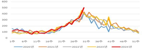 [세종=뉴시스] 최근 5년(’20∼’24년) 주별 장관감염증 환자 신고 수(사진=질병관리청) *재판매 및 DB 금지