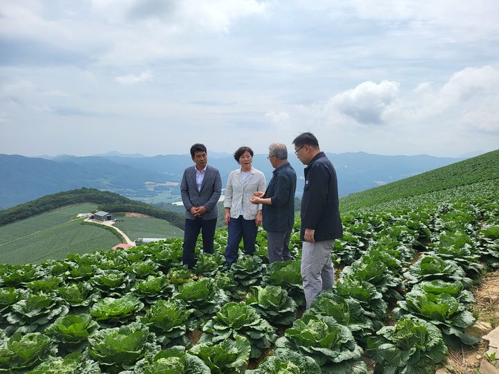 [감릉=뉴시스]송미령 농림축산식품부 장관이 8일 오전 강원특별자치도 강릉시 왕산면 일원(안반데기)의 고랭지 배추 밭을 찾아 작황을 점검하고 있다. (사진=임소현 기자) *재판매 및 DB 금지