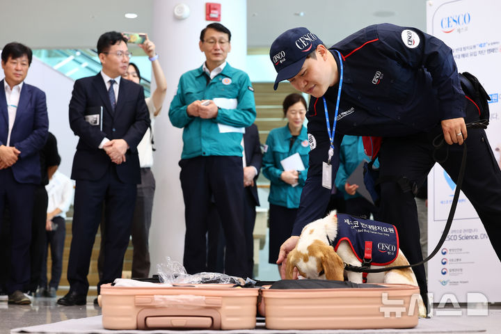 [인천공항=뉴시스] 김근수 기자 = 8일 인천 중구 인천국제공항 제2여객터미널 입국장에서 국내 1호 빈대 탐지견 '세코(CECO)'가 여행객들의 여행 캐리어를 수색하고 있다. 세스코는 여름 휴가철인 오는 9일부터 한달 간 국토교통부, 질병관리청, 인천국제공항공사, 항공사 등과 함께 민관 함동으로 '빈대 해외 유입 차단 민관 합동 공동캠페인'을 진행한다고 밝혔다. 2024.08.08. ks@newsis.com