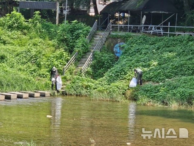 [양주=뉴시스] 일영유원지 일대. (사진=양주시 제공) 2024.08.13 photo@newsis.com