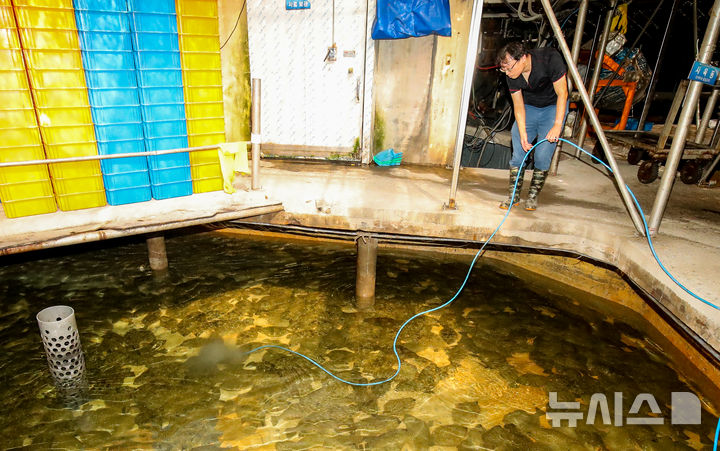 [제주=뉴시스] 우장호 기자 = 제주시 한경면의 한 양식장에서 관계자가 수조 안에 액화산소를 공급하고 있다. (사진=뉴시스DB) woo1223@newsis.com