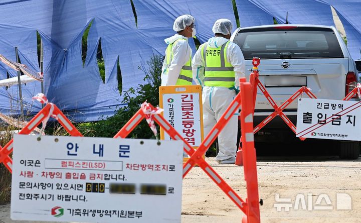 [안성=뉴시스] 김종택 기자 = 올해 첫 소 바이러스성 질병인 럼피스킨병이 발생한 경기도 안성시 한우 농장에서 13일 방역 관계자들이 외부인 출입을 통제하고 있다. 2024.08.13. jtk@newsis.com