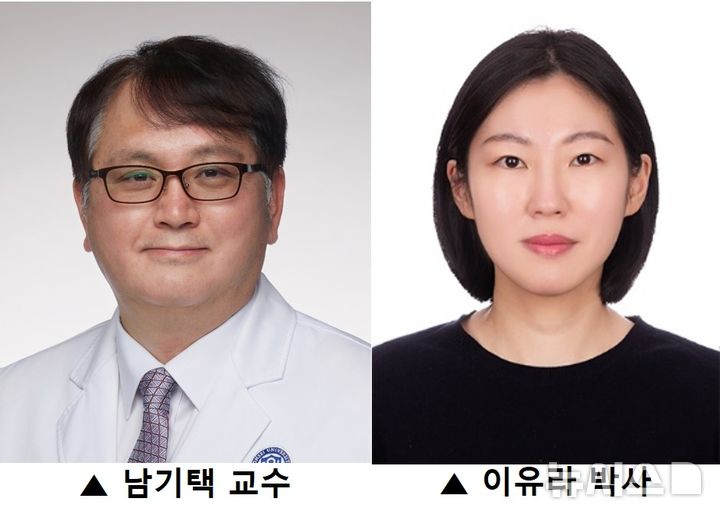 [서울=뉴시스]국내 연구진이 손상된 신장을 재생시키는 줄기세포 표지자 발굴에 성공했다. 사진은 연세대 의과대학 의생명과학부 남기택 교수와 이유라 박사 연구팀. (사진= 세브란스병원 제공) 2024.08.14. photo@newsis.com. 