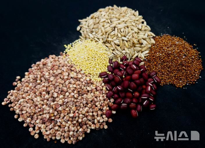 [세종=뉴시스]항당뇨용 잡곡 혼합물의 모습(사진=농진청 제공)