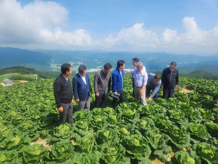 [춘천=뉴시스] 14일 강원특별자치도는 이날 김범석 기획재정부 차관과 박범수 농식품부 차관과 함께 강릉시 왕산면 대기리에 위치한 안반데기를 방문해 고랭지 채소 생육과 수급상황, 관리방안 등 현장을 점검했다고 밝혔다. 강원특별자치도 제공.  *재판매 및 DB 금지