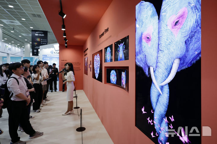 [서울=뉴시스] 최동준 기자 = 14일 서울 강남구 코엑스에서 열린 2024 한국디스플레이산업 전시회를 찾은 시민들이 삼성 디스플레이가 전시하는 고상우 작가의 작품을 살펴보고 있다. 2024.08.14. photocdj@newsis.com