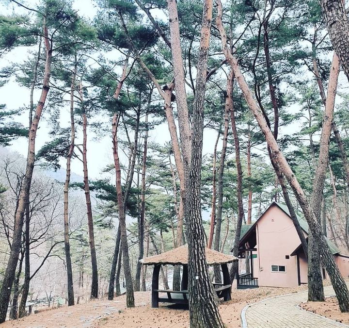 [부여=뉴시스] 부여 만수산자연휴양림. (사진= 부여군 제공) *재판매 및 DB 금지