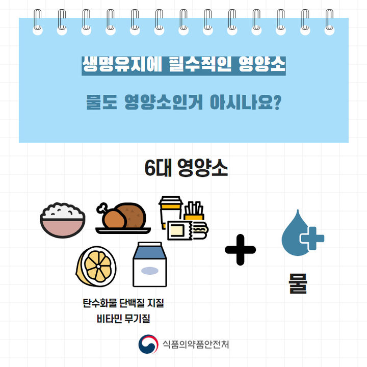 [서울=뉴시스] 19일 식품의약품안전처에 따르면여름과 같이 수분 배출이 많은 시기에는 충분한 수분 섭취가 중요하다. (사진=식약처 제공) 2024.09.19. photo@newsis.com&nbsp; *재판매 및 DB 금지