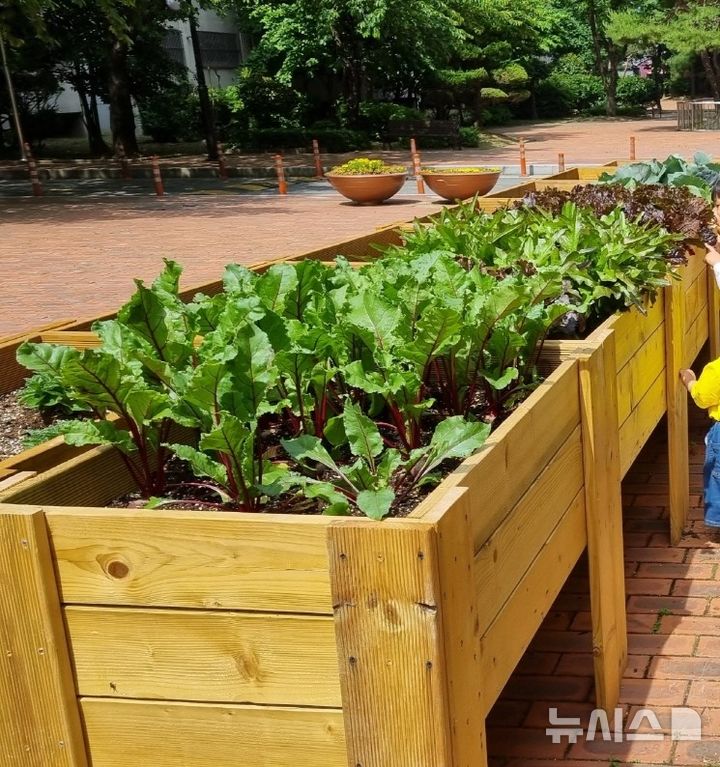 [서울=뉴시스] 22일 식품영양학계에 따르면 차량 통행이 많은 도심지, 특히 도로에 가까울 재배 작물의 중금속 오염도가 높다는 연구결과가 국내외에서 나왔다. 사진은 한 지자체에 마련된 주거지 공용공간 텃밭의 모습. 해당 사진은 기사와 직접 관련이 없습니다. (사진=뉴시스 DB) 2024.10.22. photo@newsis.com
