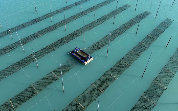  *재판매 및 DB 금지