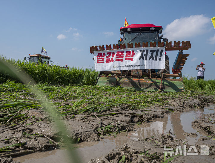 [익산=뉴시스] 강경호 기자 = 20일 전북 익산시 춘포면의 한 논 위에서 트랙터가 논을 갈아엎고 있다. 이날 전국농민회총연맹 전북도연맹 등은 "정부는 쌀값 폭락을 막아야 한다"며 집회를 열었다. 2024.08.20. lukekang@newsis.com