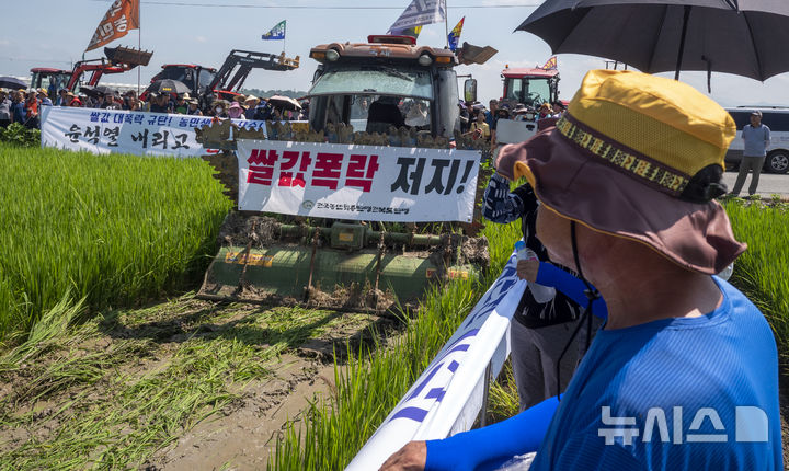 [익산=뉴시스] 강경호 기자 = 20일 전북 익산시 춘포면의 한 논 위에서 논을 갈아엎고 있는 트랙터를 한 농민이 지켜보고 있다. 이날 전국농민회총연맹 전북도연맹 등은 "정부는 쌀값 폭락을 막아야 한다"며 집회를 열었다. 2024.08.20. lukekang@newsis.com