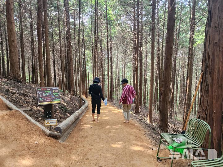 [장흥=뉴시스]장흥군, 억불산 산림욕장 황톳길 