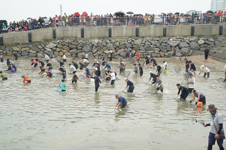 [뉴시스=서산] 지난해 열린 삼길포 우럭 축제 모습.(사진=서산시) *재판매 및 DB 금지