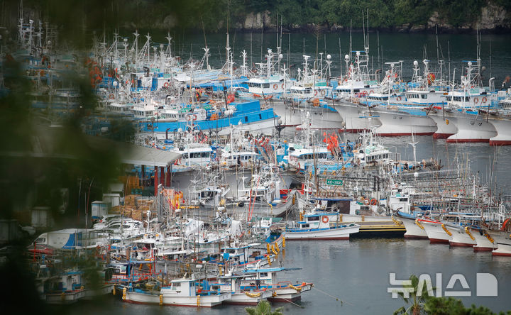 [서귀포=뉴시스] 제주 서귀포시 서귀포항 어선. (사진=뉴시스 DB). photo@newsis.com 