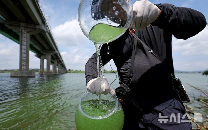 [대구=뉴시스] 이무열 기자 = 대구 달성군 화원유원지에서 대구환경운동연합 관계자가 낙동강 녹조 현장을 조사하기 위해 강물을 채수하고 있다. 2024.08.20. lmy@newsis.com