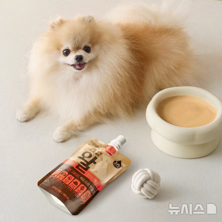 [서울=뉴시스] hy, 펫쿠르트 건강하개 프로젝트 왈. (사진= hy 제공)