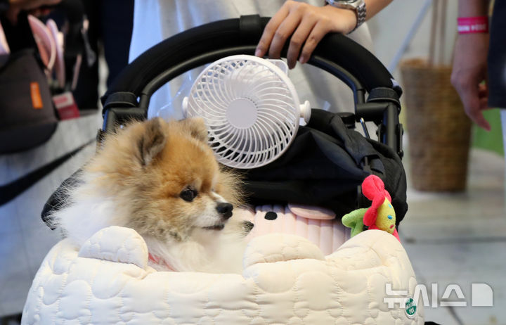 [서울=뉴시스] 사진은 기사 내용과 관련 없음. 