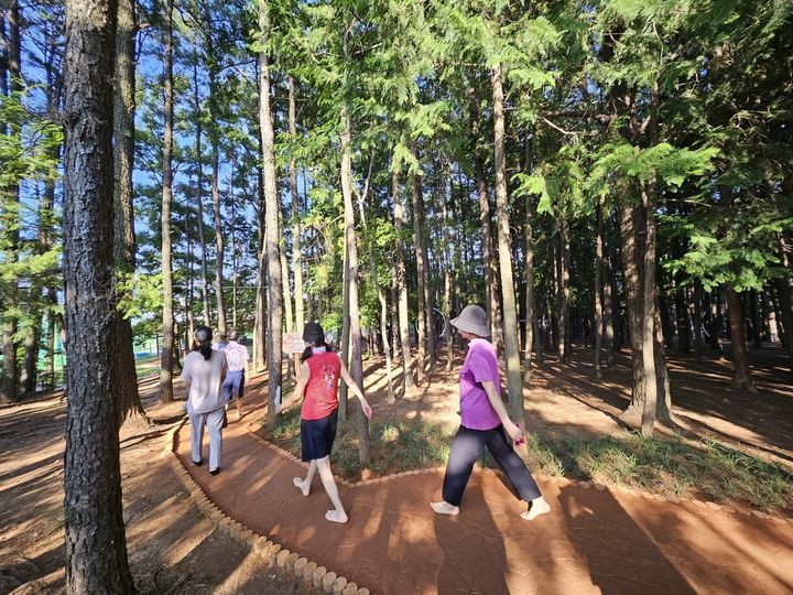 [양산=뉴시스] 웅상체육공원 솔밭 황톳길을 이용하고 있는 시민들. (사진=뉴시스 DB). photo@newsis.com *재판매 및 DB 금지