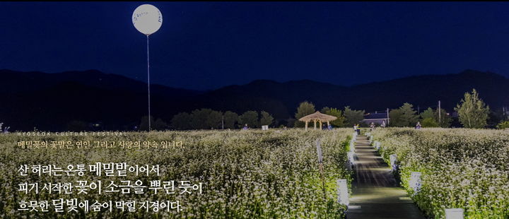 효석문화제. *재판매 및 DB 금지