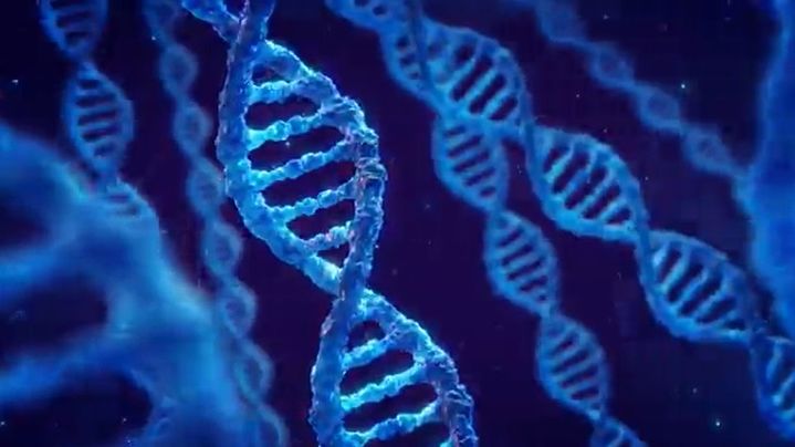 DNA 관련 이미지. (사진=IBS 제공) *재판매 및 DB 금지