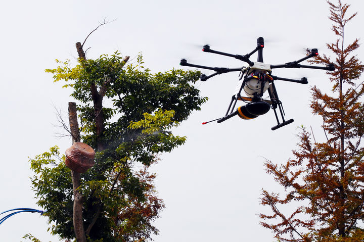 [전주=뉴시스] 강종민 기자 = 27일 전북 전주시 국립한국농수산대학교에서 드론을 활용한 말벌집 퇴치기술이 시연되고 있다. (사진=한농대 제공) 2024.08.27. photo@newsis.com *재판매 및 DB 금지