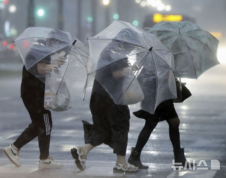 [가고시마=AP/뉴시스]28일 일본 서부 가고시마에서 태풍이 접근하면서 우산을 쓴 시민들이 폭우와 씨름하고 있다. 2024.08.29.