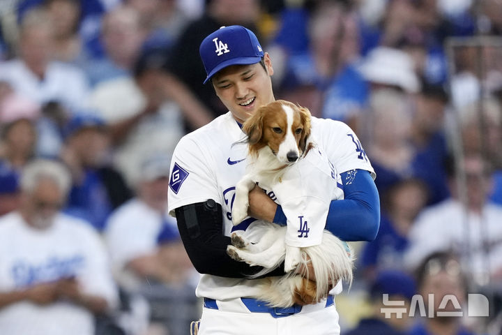 Los Angeles Dodgers' Shohei Ohtani brings his dog Decoy to mound before Decoy delivered the ceremonial first pitch prior to a baseball game between the Dodgers and the Baltimore Orioles Thursday, Aug. 29, 2024, in Los Angeles. (AP Photo/Mark J. Terrill)