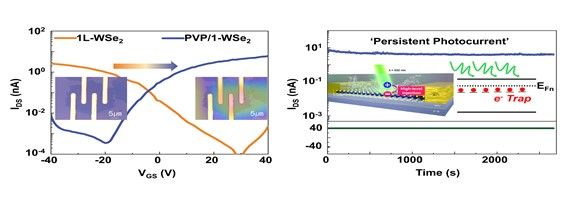 [서울=뉴시스] High-level injection에 의한 단층 텅스텐 디셀레나이드(WSe2)의 다수 캐리어 변화 및 지속광전류 특성 (사진=한양대 제공) *재판매 및 DB 금지