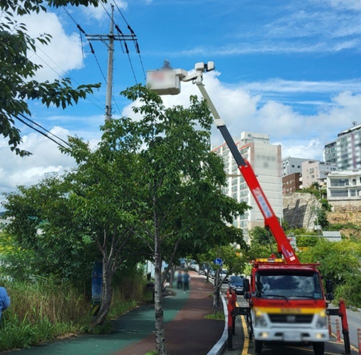 [울산=뉴시스] 박수지 기자 = 29일 오전 울산에 강풍주의보가 발효된 가운데 한전이 고장난 신호등을 확인하고 있다. (사진=울산경찰청 제공). 2024.08.29. photo@newsis.com *재판매 및 DB 금지