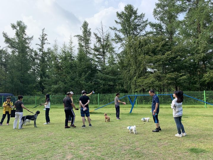 [대전=뉴시스] 국립산음자연휴양림에 조성된 반려견 놀이터.(사진=국립자연휴양림관리소 제공) *재판매 및 DB 금지