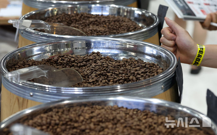 [서울=뉴시스] 김명년 기자 = 29일 오후 서울 강남구 세텍에서 열린 '2024 서울 카페&베이커리페어 시즌2'에서 방문객이 원두를 살펴보고 있다. 2024.08.29. kmn@newsis.com