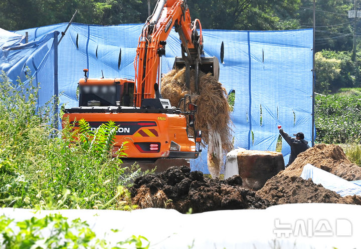 [이천=뉴시스] 김종택 기자 = 소 바이러스성 질병인 럼피스킨병이 발생한 경기도 이천시 한 젖소농장에서 1일 방역 관계자들이 외부인 출입을 통제하고 살처분 작업을 하고 있다. 2024.09.01. jtk@newsis.com