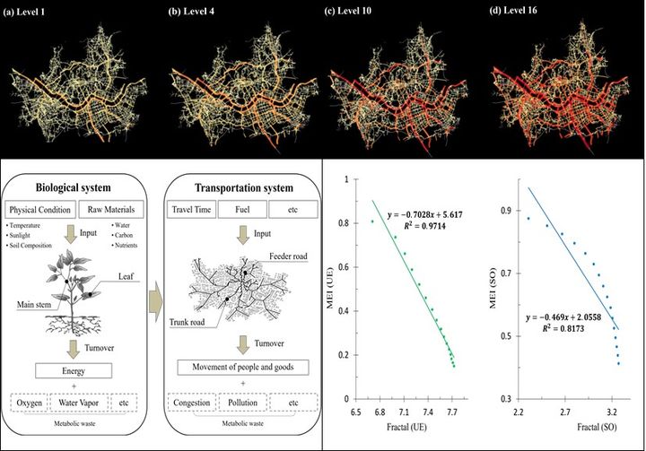 [서울=뉴시스] (상단) 서울 도로 시스템의 트래픽 성장 패턴 (하단 오른쪽) 생물체와 교통시스템의 신진대사 (하단 왼쪽) 프랙탈 차원과 신진대사 지표의 관계 (사진=서울시립대 제공) *재판매 및 DB 금지