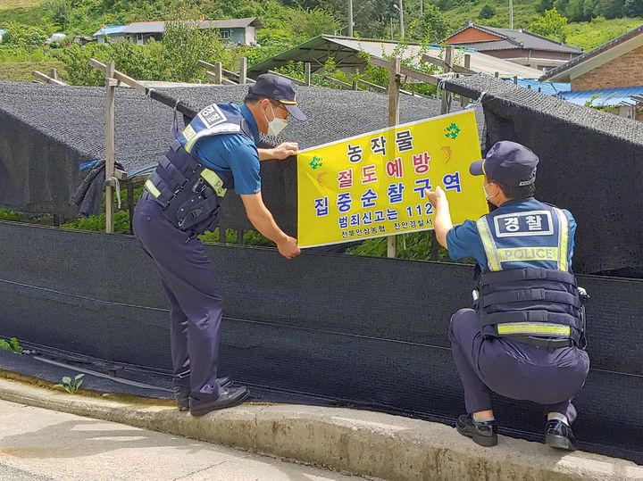 [전주=뉴시스] 전북경찰청은 오는 10월 말까지 2개월간 '농·축산물 절도 예방 특별치안활동기간'을 운영한다고 2일 밝혔다. 진안경찰서 대원들이 진안군의 한 밭 인근에 농작물 절도 집중순찰구역 경고문을 게시하고 있다. (사진=전북경찰청 제공) 2024.09.02. photo@newsis.com *재판매 및 DB 금지