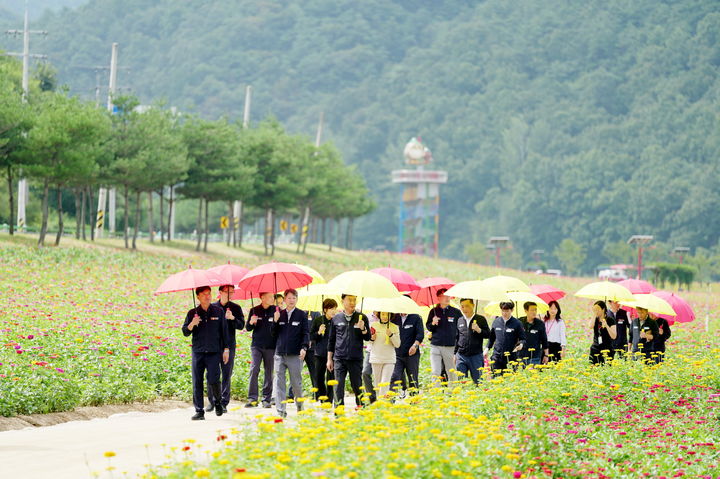 백일홍이 만개한 '산소카페 청송정원' (사진=청송군 제공) *재판매 및 DB 금지