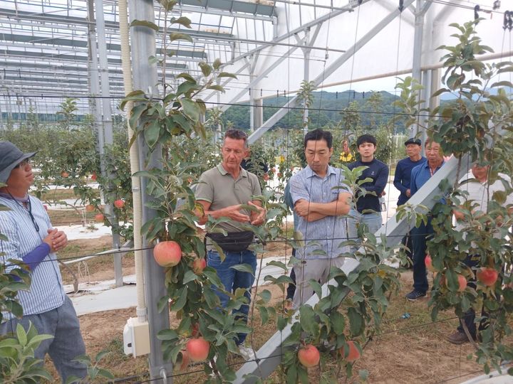 [진주=뉴시스]경남농업기술원, 찾아가는 해외전문가 사과 현장교육. *재판매 및 DB 금지