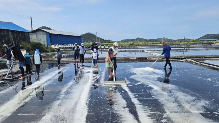 [목포=뉴시스]염전체험. (사진=호남권생물자원관 제공) 2024.09.04. photo@newsis.com *재판매 및 DB 금지