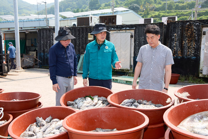 [통영=뉴시스] 신정철 기자= 통영시는 지난 여름 고수온 현상으로 피해를 입은 212양식어가에 87억7000만원의 재난지원금을 추석 명절 전에 신속히 지급할 계획이라고 4일 밝혔다.사진은 고수온으로 폐사한 물고기 모습.(사진=통영시 제공).2024.09.04. photo@newsis.com *재판매 및 DB 금지